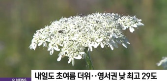 내일도 초여름 더위..영서권 낮 최고 29도