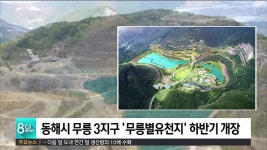 동해시 석회석 폐광지 무릉별유천지 하반기 개장