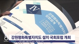 강원평화특별자치도 설치 국회포럼 개최