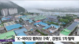K-바이오 랩허브 구축, 강원도 1차 탈락
