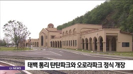 태백 통리 탄탄파크와 오로라파크 정식 개장