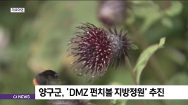 양구군, DMZ 펀치볼 지방정원 추진
