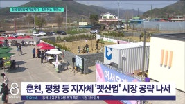 전용 캠핑장에 객실까지..진화하는 펫캉스