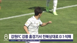 강원FC 강릉 홈경기서 전북상대로 0:1 석패