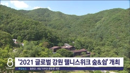 2021 글로벌 강원 웰니스위크 숲&쉼 개최