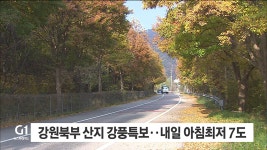 강원북부 산지 강풍특보..내일 아침최저 7도