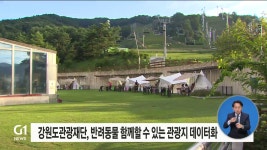 강원도관광재단, 반려동물 함께할 수 있는 관광지 데