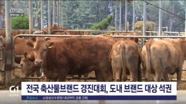전국 축산물브랜드 경진대회, 도내 브랜드 대상 석권