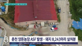 춘천 돼지농장 ASF 발생..확산 저지 총력