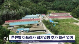 아프리카 돼지열병 추가 확산 없어