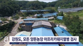 강원도 전 양돈농장 아프리카돼지열병 일제검사