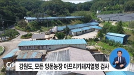 강원도 전 양돈농장 아프리카돼지열병 일제검사