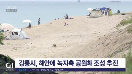 강릉시 해안에 녹지축 공원화 조성 추진