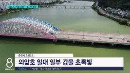 소양 2교 녹조 논란..일시적 현상