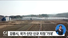 강릉시 국가 산단 신규 지정 기대