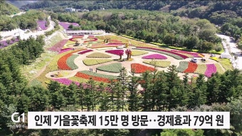 인제 가을꽃축제 15만 명 방문..경제효과 79억 원