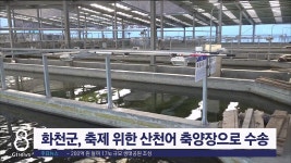 화천군 23일부터 산천어 축양장으로 수송 시작
