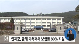 인제군, 올해 가축재해 보험료 80% 지원