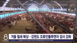 강원도 조류인플루엔자 검사 강화