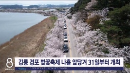 강릉 경포 벚꽃축제 나흘 앞당겨 31일부터 개최