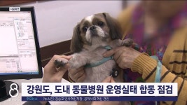 강원도, 도내 동물병원 운영실태 합동 점검