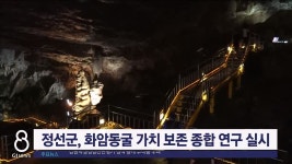 정선 화암동굴 가치 보존 종합 연구 실시