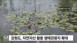 강원도, 자연자산 활용 생태관광지 확대