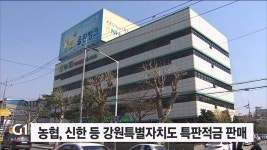 농협, 신한 등 강원특별자치도 특판적금 판매
