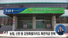 농협, 신한 등 강원특별자치도 특판적금 판매