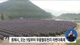 동해시, 오는 9일부터 무릉별유천지서 라벤더축제