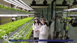 도심 속 스마트팜에서 진로 모색