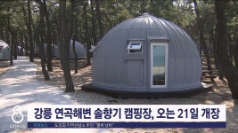 강릉 연곡해변 솔향기 캠핑장, 오는 21일 개장