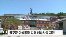 양구군 야생동물 피해예방 시설 설치 지원