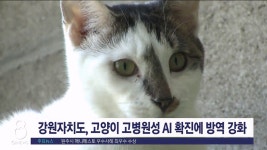강원도, 고양이 고병원성 AI 확진에 방역 강화