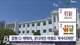 강원 CI·캐릭터, 굿디자인 어워드 우수 디자인