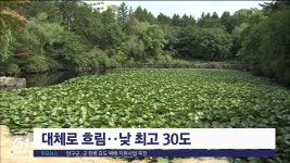 대체로 흐림..낮 최고 30도