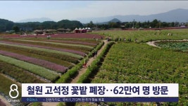 철원 고석정 꽃밭 폐장..62만 여명 방문