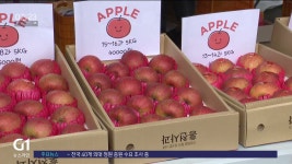 기후변화가 바꾼 사과 지도..강원 사과 각광