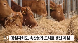 강원자치도, 축산농가 조사료 생산 지원