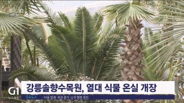 강릉솔향수목원, 열대 식물 온실 개장