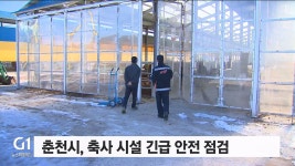 춘천시, 축사 시설 긴급 안전 점검
