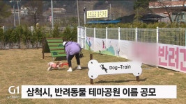 삼척시, 반려동물 테마공원 이름 공모