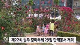 제22회 원주 장미축제 29일 단계동서 개막