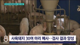 잊을만 하면.. 또다시 ASF 초비상