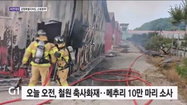 오늘 오전, 철원 축사 화재..메추리 10만 마리 소사