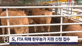 도, FTA 피해 한우농가 지원 신청 접수