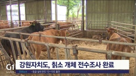 강원자치도, 칡소 개체 전수조사 완료