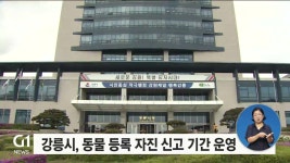 강릉시, 동물 등록 자진 신고 기간 운영