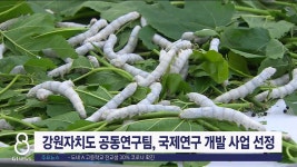 강원자치도 공동연구팀, 국제연구 개발 사업 선정
