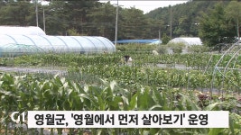 영월군, 영월에서 먼저 살아보기 운영